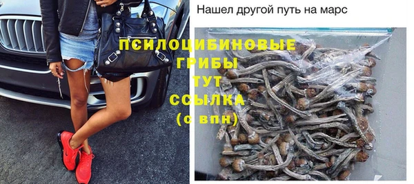 не бодяженный Протвино